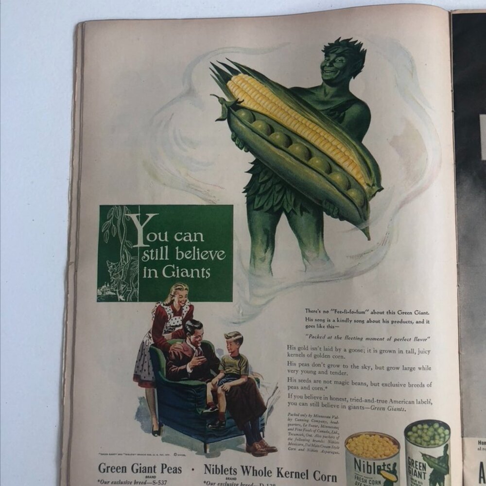 Life Magazine - Picture 7 of 16